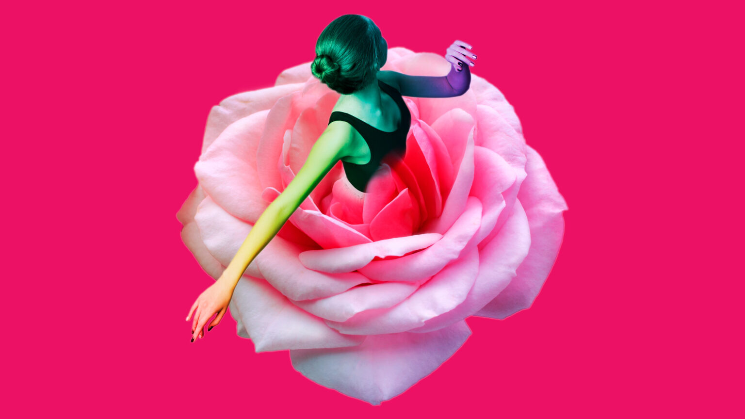 NMFB22 Rossetti Brand Design