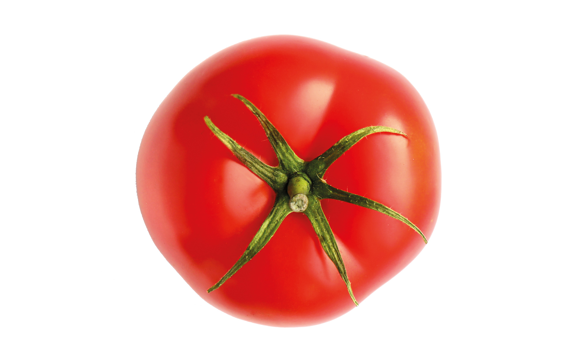 Pomodoro