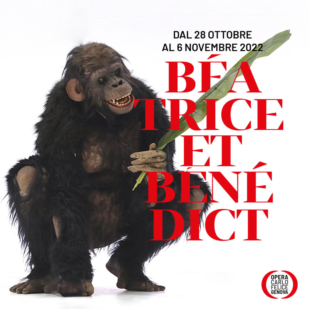 OCF Post BeB monkey