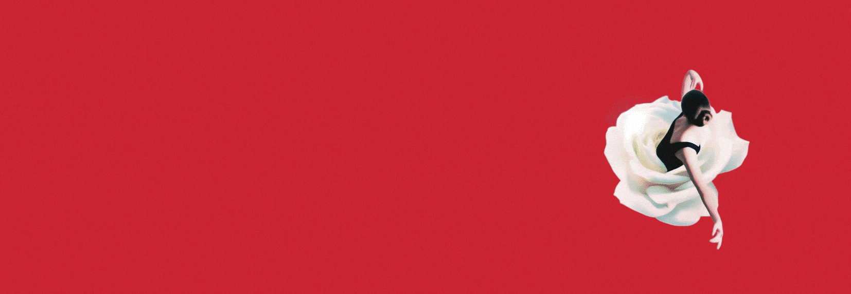 NIBF25 Rossetti Brand Design 02