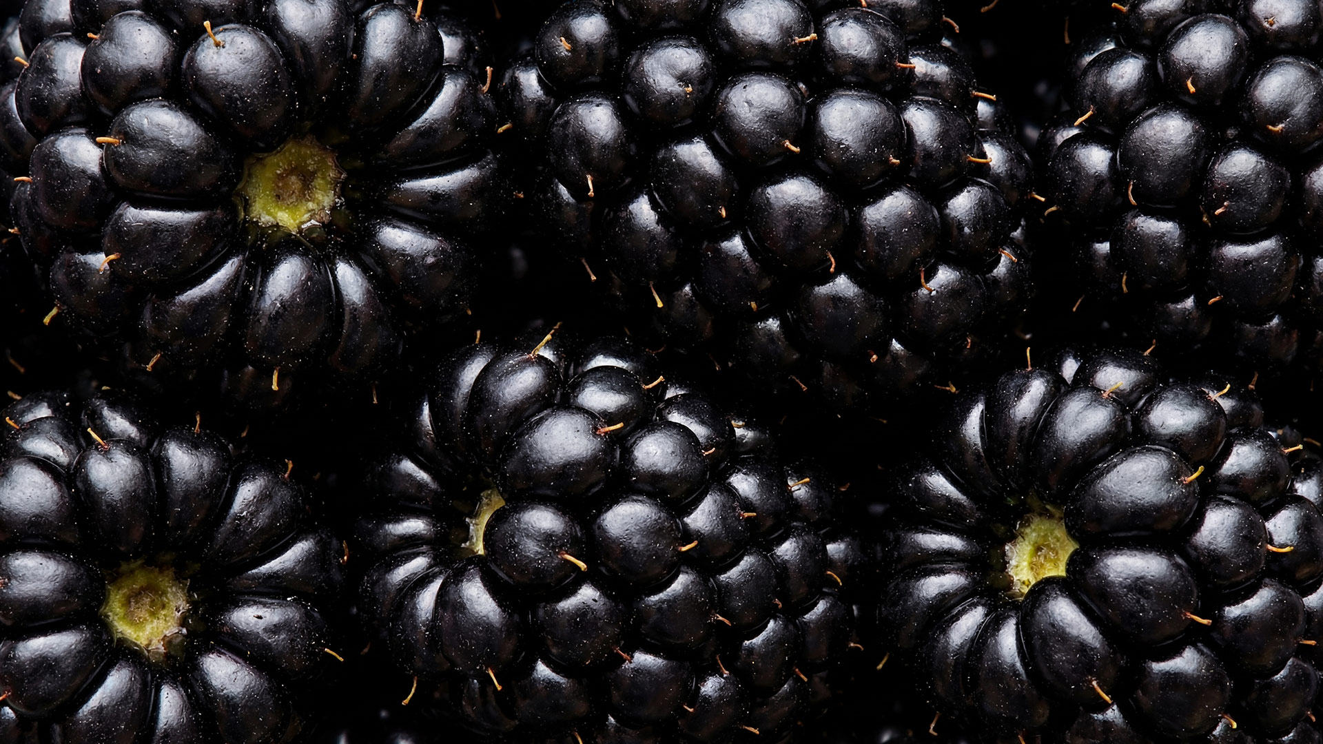 Rossetti Brand Design Santa Rosa j